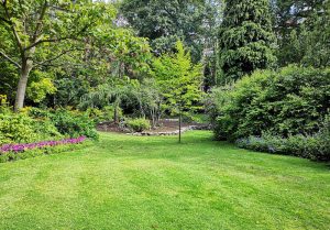 Optimiser l'expérience du jardin à Vernonvilliers